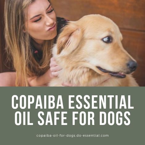 Copaiba essential oil safe for dogs